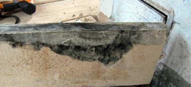 Чем обработать доски в погребе: антигрибковые составы