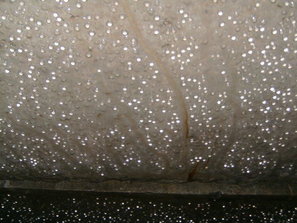 Естественная вентиляция Почему в погребе мокрый потолок?