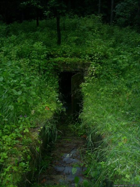 Элементы конструкции Лесной бункер