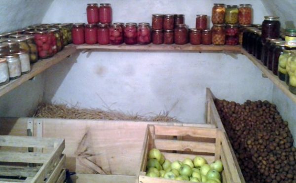 Как просушить ячейку в овощехранилище?