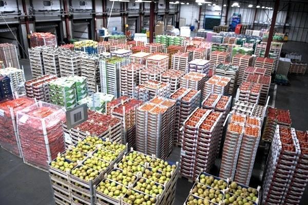 Санитарные нормы для овощехранилищ